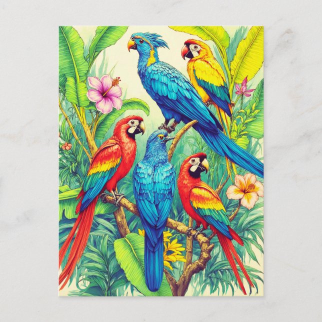 Cartão Postal Ilustração Botânica de Aves Tropicais (Frente)