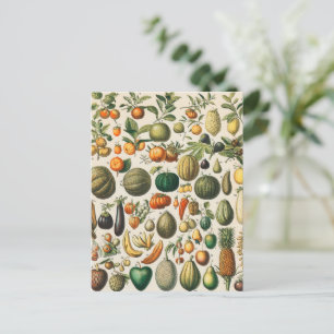 Cartão Postal Ilustração Científica Botânica Vegetal fruta