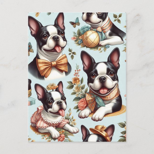 Cartão Postal Ilustração Cute Vintage de Boston Terrier (Frente)