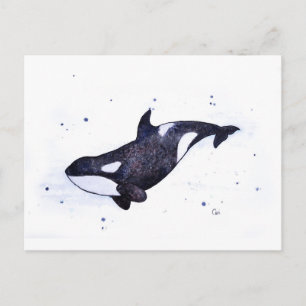 Cartão Postal Ilustração da baleia da Killer Orca