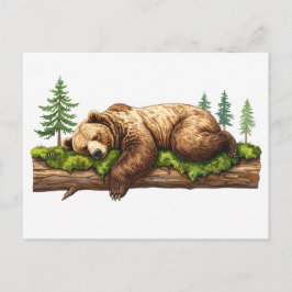 Cartão Postal Ilustração da Floresta do Urso Grizzly Dormindo em