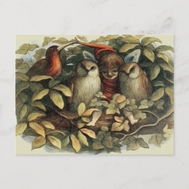 Cartão Postal Ilustração da Natureza das Corujas e Fadas do Elf (Frente)