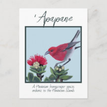 Ilustração da Natureza do Havaí com Apapane e Flor