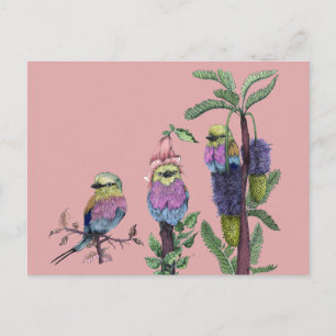 Cartão Postal Ilustração das aves africanas com aquarela rosa-br