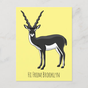 Cartão Postal Ilustração de antílope Blackbuck