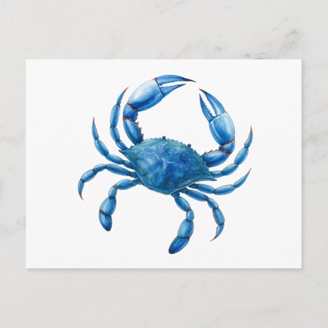 Cartão Postal Ilustração de Aquarela de Caranguejo Azul - Vida n (Frente)