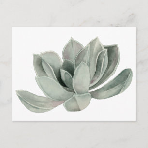 Cartão Postal Ilustração de Aquarela de Planta Suculente