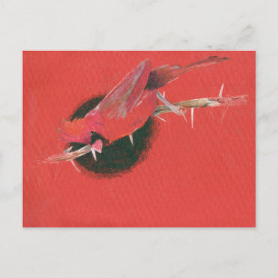 Cartão Postal Ilustração de ave cardinal desenhando preto vermel