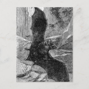 Cartão Postal Ilustração de Bat Vampire 1885