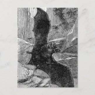 Cartão Postal Ilustração de Bat Vampire 1885