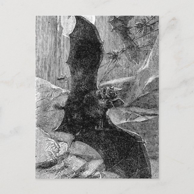 Cartão Postal Ilustração de Bat Vampire 1885 (Frente)