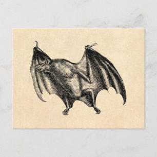 Cartão Postal Ilustração de Bat Vampiro dos anos 1800 - Hallowee