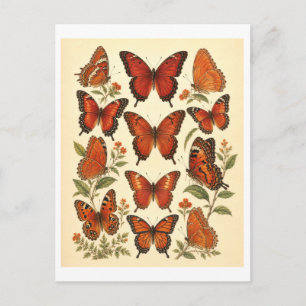 Cartão Postal Ilustração de Borboleta Vermelha em Estilo Vintage