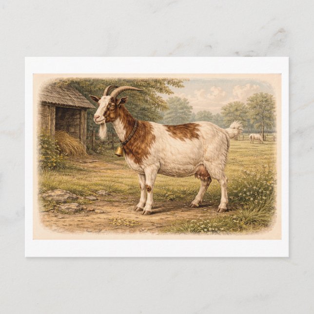 Cartão Postal Ilustração de cabra em estilo retrô (Frente)