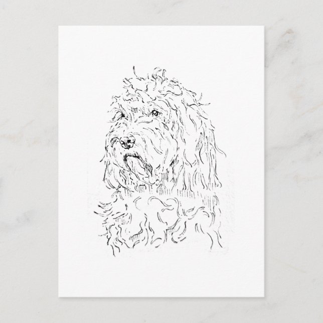 Cartão Postal Ilustração de Cachorro, Arte Fofa de Cockapoo (Frente)