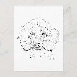 Cartão Postal Ilustração de Cachorro Poodle Fofo, Desenhado à Mã