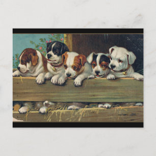 Cartão Postal Ilustração de Cães de Vintage, Hunde-Welpen