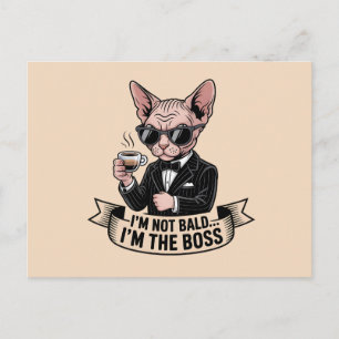 Cartão Postal Ilustração de Café do Gato Sphynx Chefe