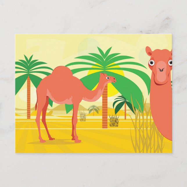 Cartão Postal Ilustração de Camelos (Frente)