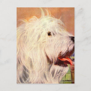 Cartão Postal Ilustração de cão de pastor inglês antigo dos anos