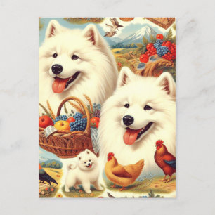 Cartão Postal Ilustração de Cão Samoyed Vintage