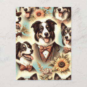 Cartão Postal Ilustração de Collie de Borda Vintage
