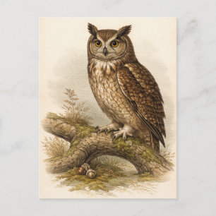 Cartão Postal Ilustração de Coruja em Estilo Vintage