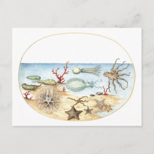 Cartão Postal Ilustração de Criaturas do Mar