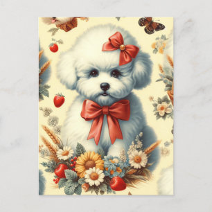 Cartão Postal Ilustração de Cute Vintage Bichon Frisé
