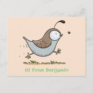 Cartão Postal Ilustração de desenho animado de codorna californi