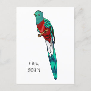 Cartão Postal Ilustração de desenho animado de pássaro quetzal r