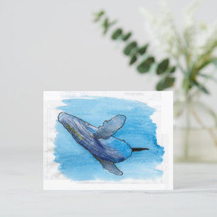 Cartão Postal Ilustração de desenho de animais marinhos da bal