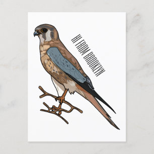 Cartão Postal Ilustração de desenho de aves do estrel americano
