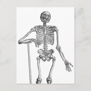 Cartão Postal Ilustração de Esqueleto Cavando