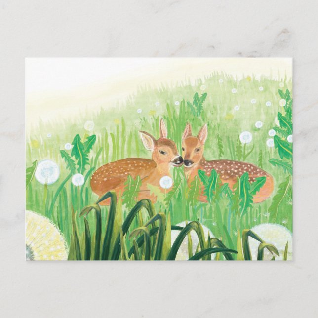 Cartão Postal Ilustração de Fawns em Grama Alta (Frente)