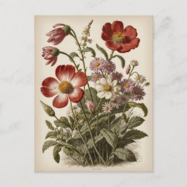 Cartão Postal Ilustração de Flor Vintage