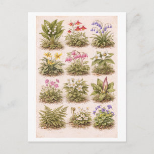 Cartão Postal Ilustração de Flores Silvestres em Estilo Vintage