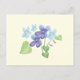 Cartão Postal Ilustração de Flores Violetas Selvagens