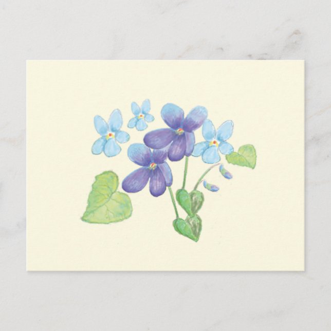 Cartão Postal Ilustração de Flores Violetas Selvagens (Frente)