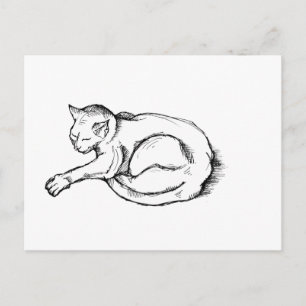 Cartão Postal Ilustração de Gato Dormindo Arte de Desenho à Cane