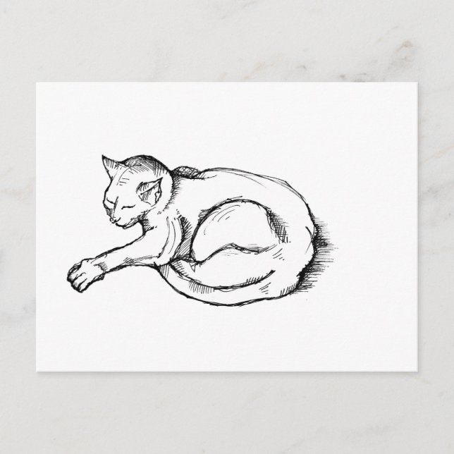 Cartão Postal Ilustração de Gato Dormindo Arte de Desenho à Cane (Frente)
