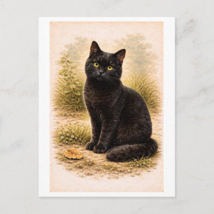 Cartão Postal Ilustração de Gato Preto Estilo Vintage