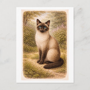 Cartão Postal Ilustração de Gato Siamês em Estilo Vintage