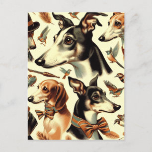Cartão Postal Ilustração de Greyhound Italiano Vintage