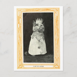 Cartão Postal Ilustração de Livro de Gato Antigo como Rainha