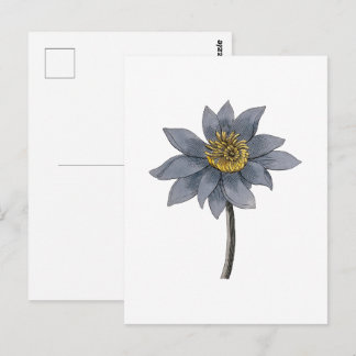 Cartão Postal Ilustração de lótus azul desenhada à mão
