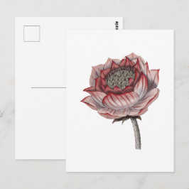 Cartão Postal Ilustração de lótus desenhada à mão