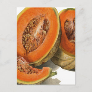Cartão Postal Ilustração de melão cantaloupe fatiada
