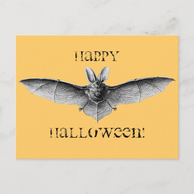 Cartão Postal Ilustração de Morcego Antigo (Frente)