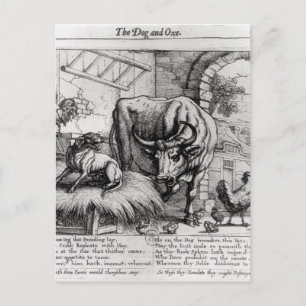 Cartão Postal Ilustração de 'O Cachorro e o Ox'